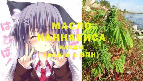 СК Михайлов